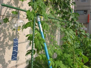 Glass windcatcher in Japan