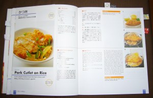 Recipes for Japanese cooking katsu