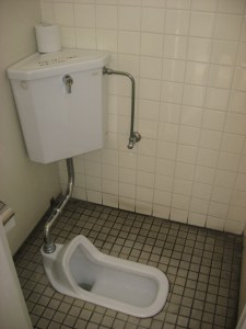 the other japanese toilet the other japanese toilet