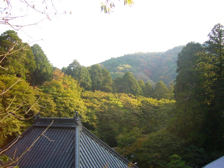 Autumn leaves, Asuke in Toyota City