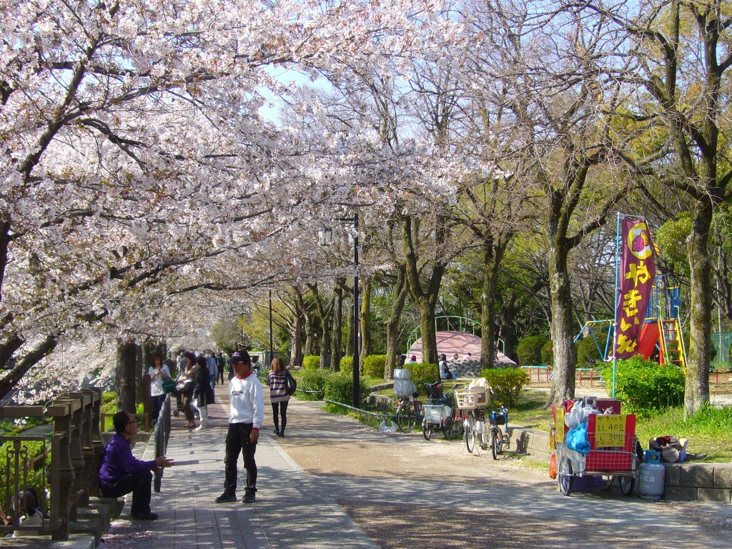 Sakura selling sweet potato or yakiimo
