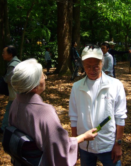 Crazy butterfly in Kyoto Crazy butterfly in Kyoto