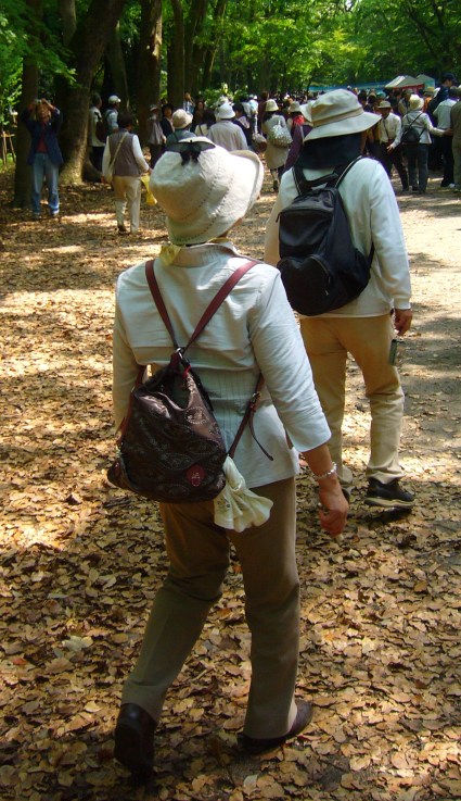 Crazy butterfly in Kyoto person nr 2 Crazy butterfly in Kyoto person nr 2