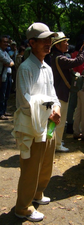 Crazy butterfly in Kyoto person nr 3 Crazy butterfly in Kyoto person nr 3