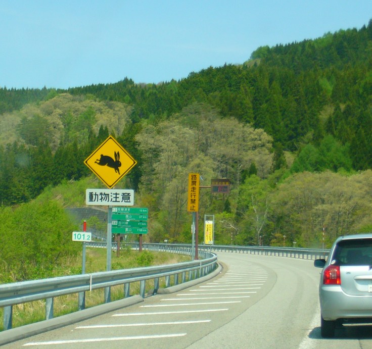 Bunny alert sign Japan