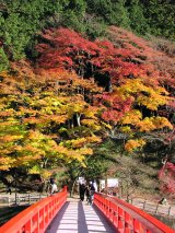 korankei autumn leaves in Toyota City