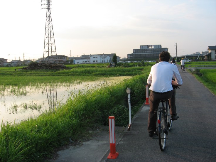 riding home from work on a summer evening