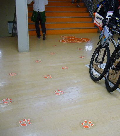 caf café in japan: paw marks