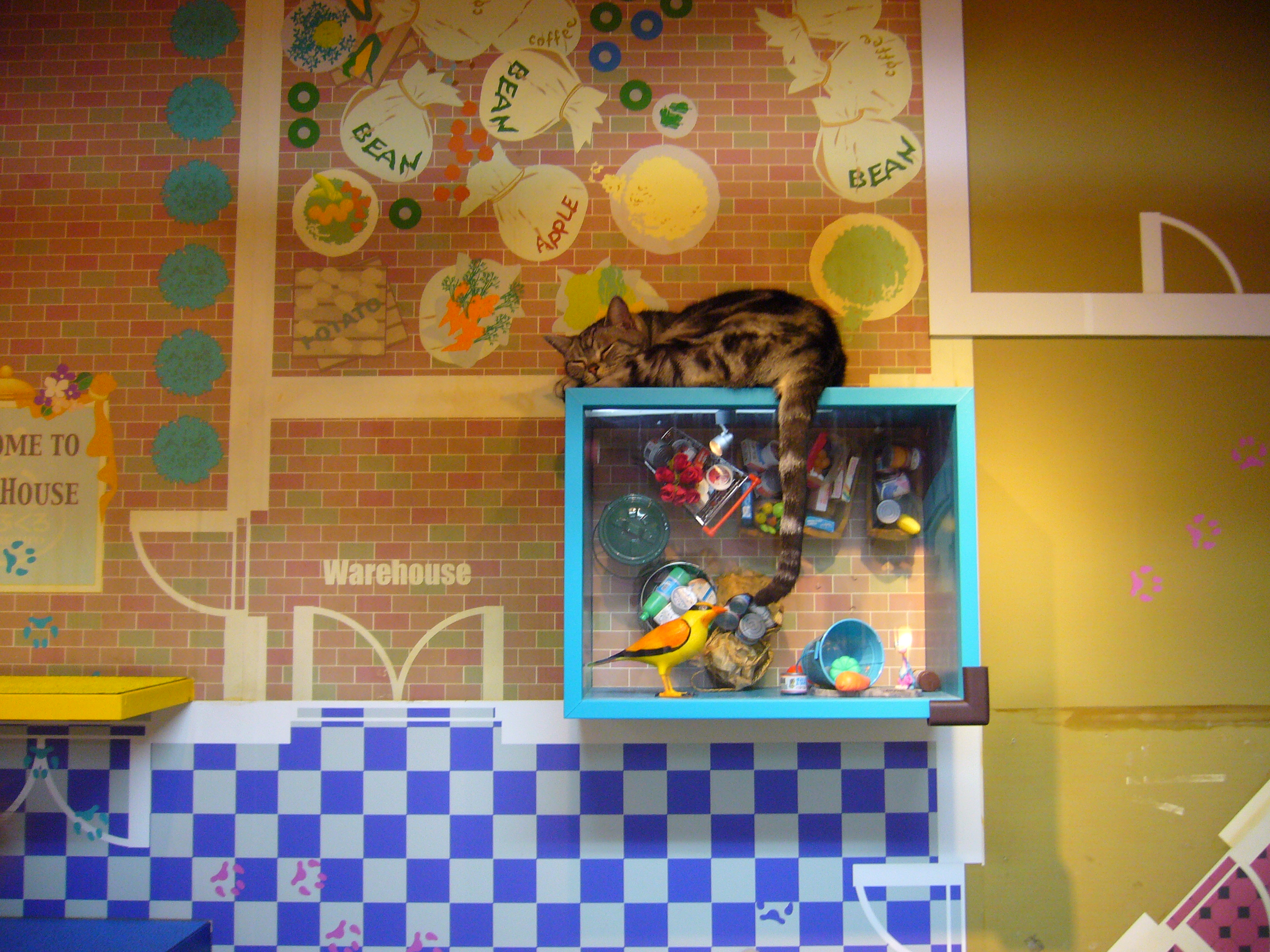 cat café in japan: cute decor