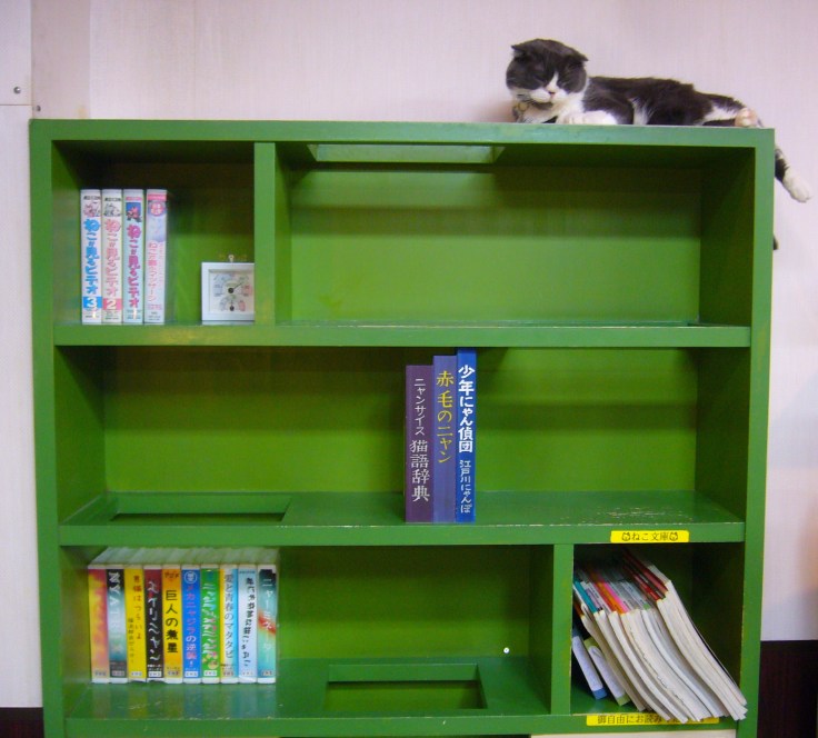 cat café in japan: play on words