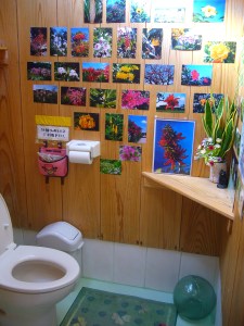 cheerful japanese toilet